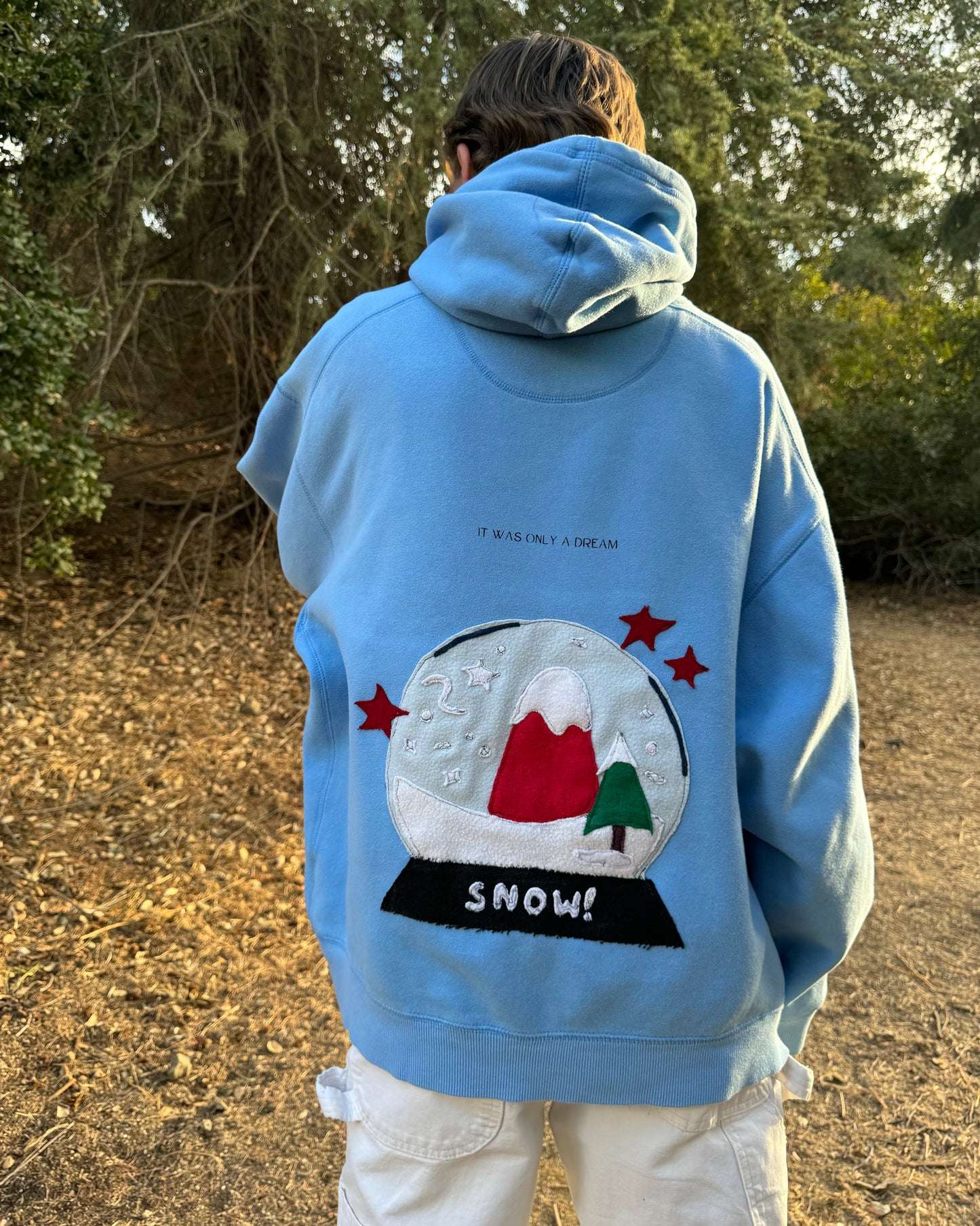 Dreaming of Snow Hoodie