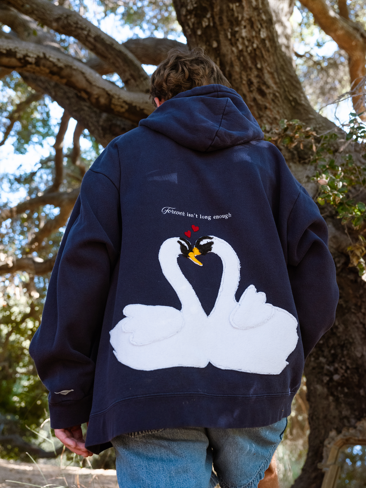 The Swan Hoodie